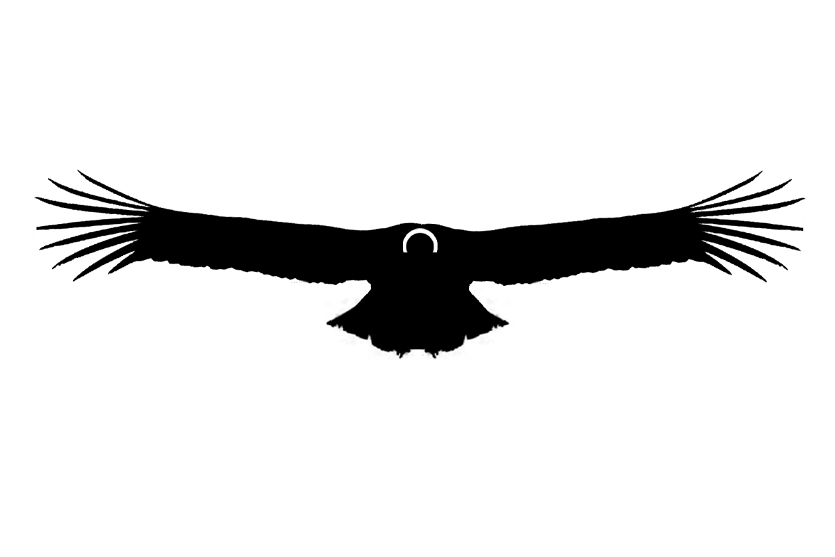 logo 2colores