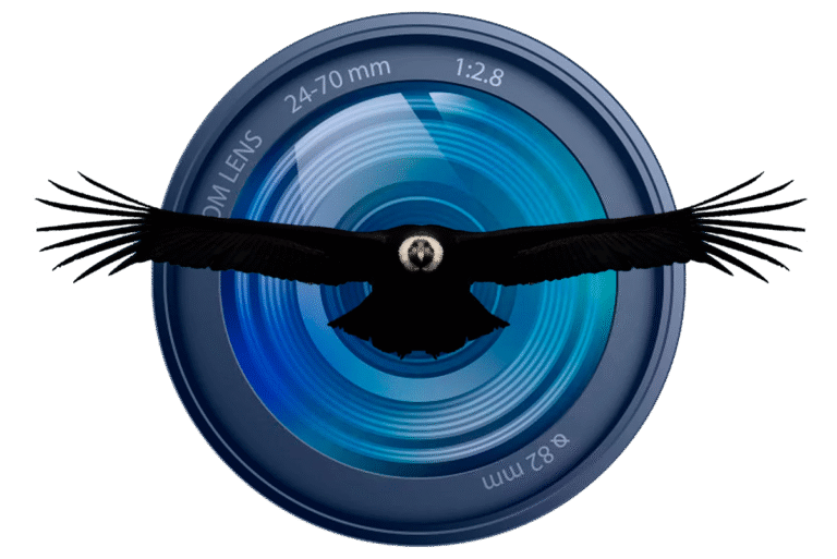 logo2