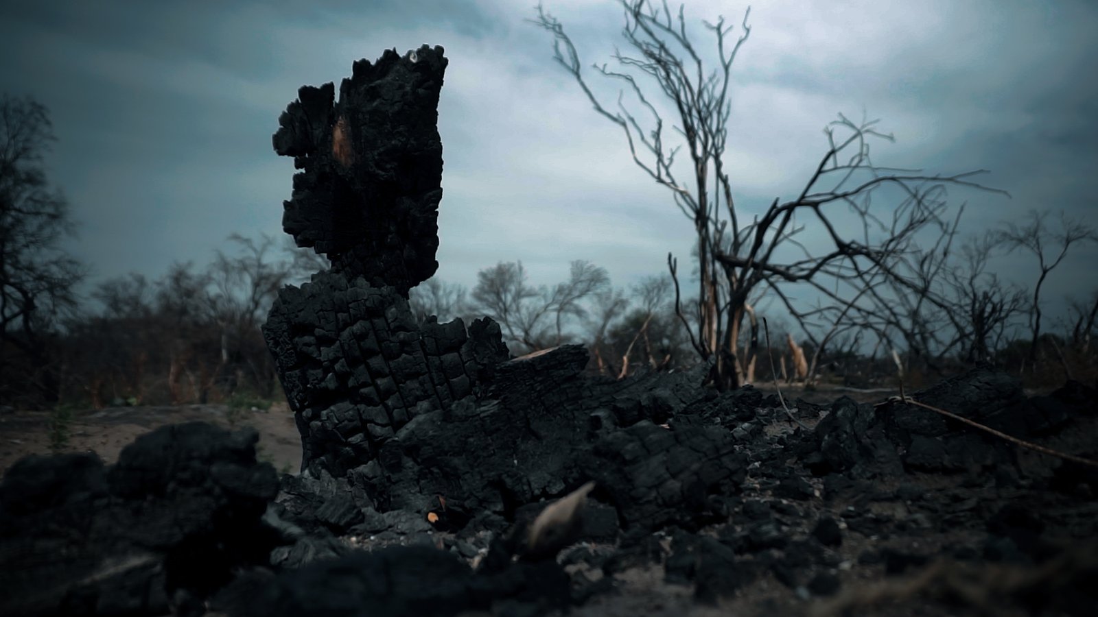 EL SENTIDO DEL FUEGO 1 -película- EL SENTIDO DEL FUEGO 1 -película-